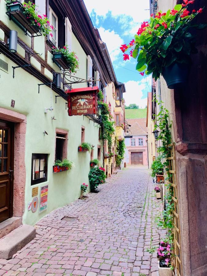 La Ruelle Alsacienne, Charme Alsacien Et Confort Moderne 利克维 外观 照片