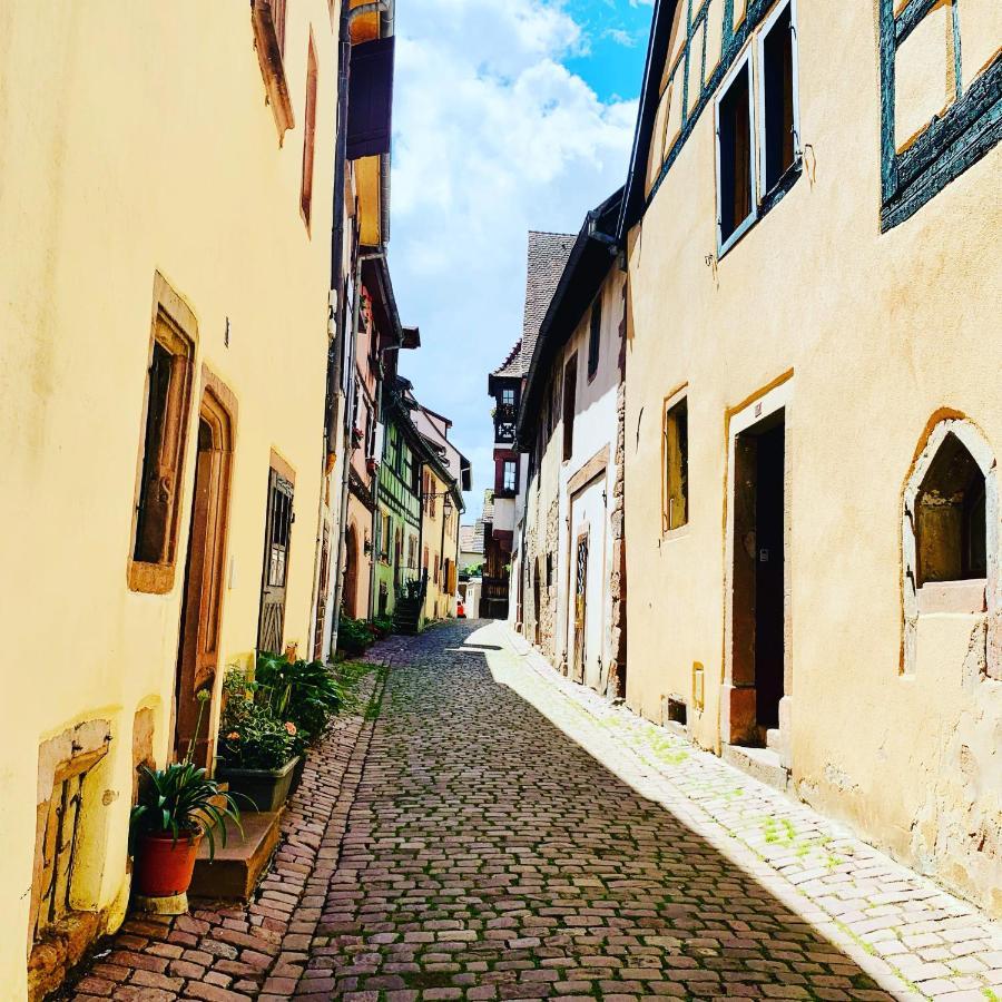 La Ruelle Alsacienne, Charme Alsacien Et Confort Moderne 利克维 外观 照片